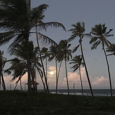 Vilage Em Praia Do Forte Buitenkant foto